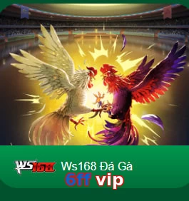 6ff vip