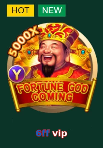 6ff vip